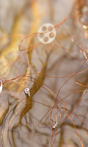 Die Flüchtigkeit des Augenblicks
