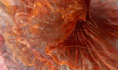 Interconnections II detail