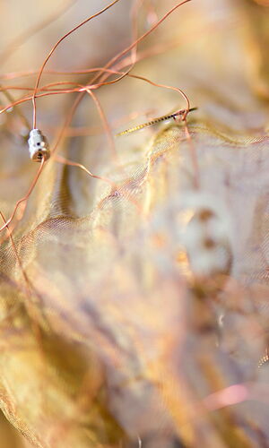 Die Flüchtigkeit des Augenblicks